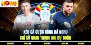 Kèo Cá Cược Bóng Đá NOHU - Chỉ Số Quan Trọng Khi Dự Đoán