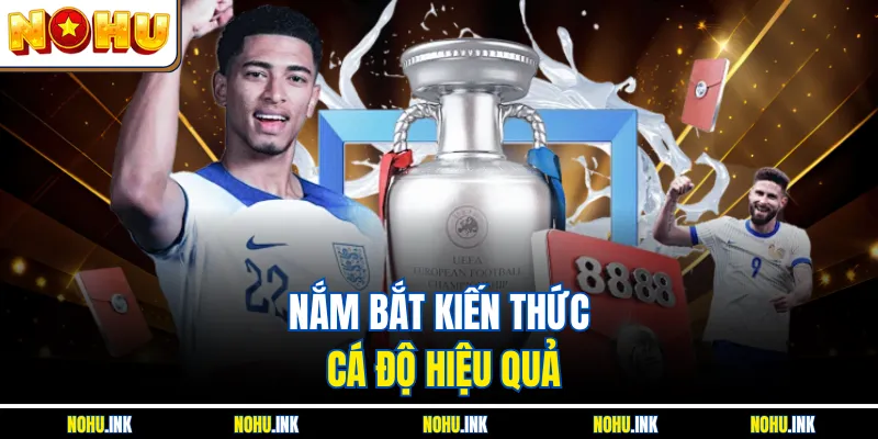 Nắm bắt kiến thức cá độ hiệu quả